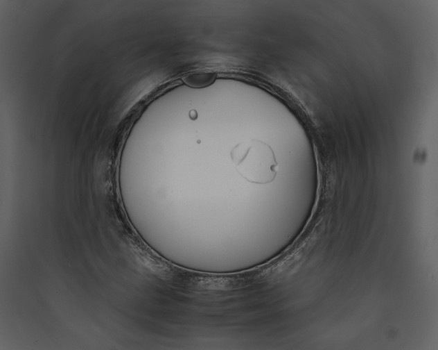 X0000089921211200707131403
