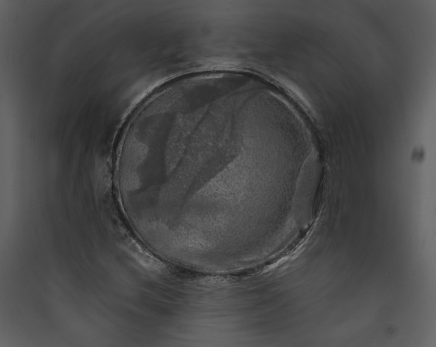X0000089921212200707131403