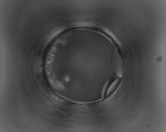 X0000089921213200707131403