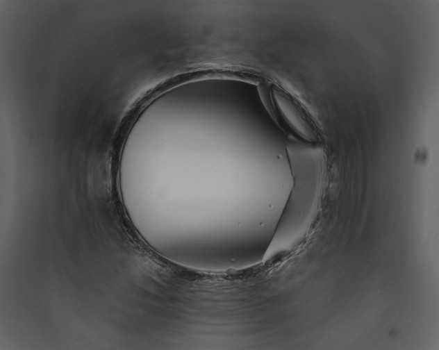 X0000089921214200707131403
