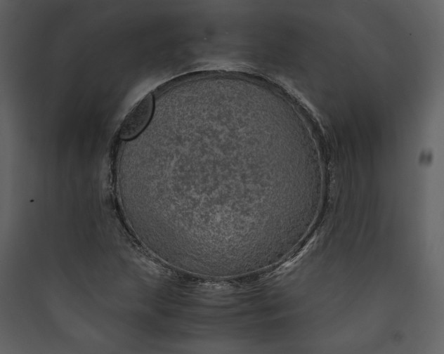 X0000089921215200707131403