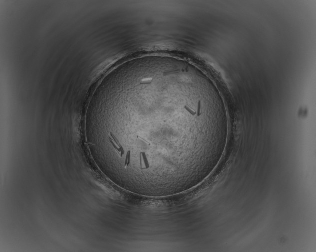 X0000089921217200707131403
