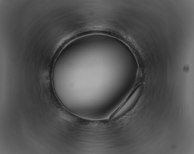 X0000089921218200707131403