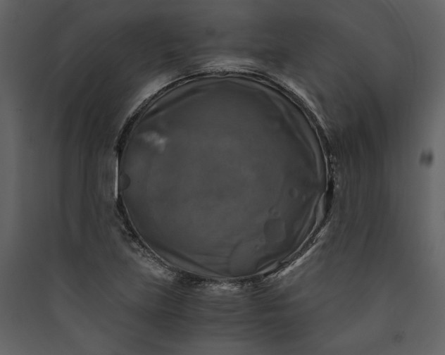 X0000089921219200707131403
