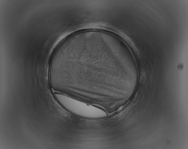 X0000089921224200707131403