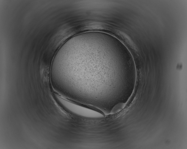 X0000089921225200707131403
