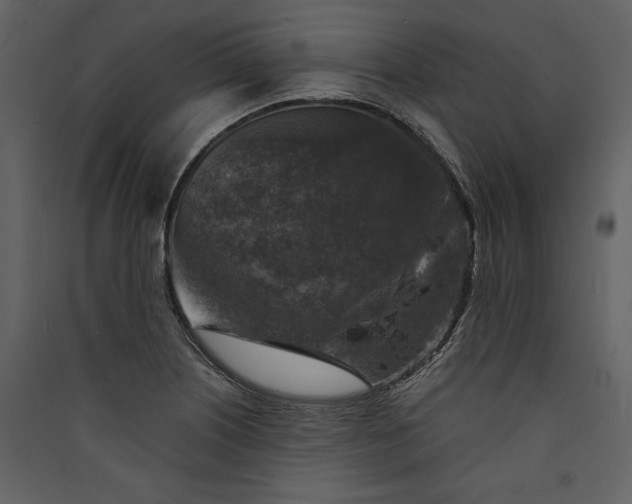 X0000089921226200707131403