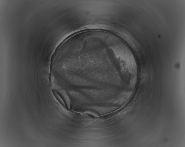 X0000089921228200707131403