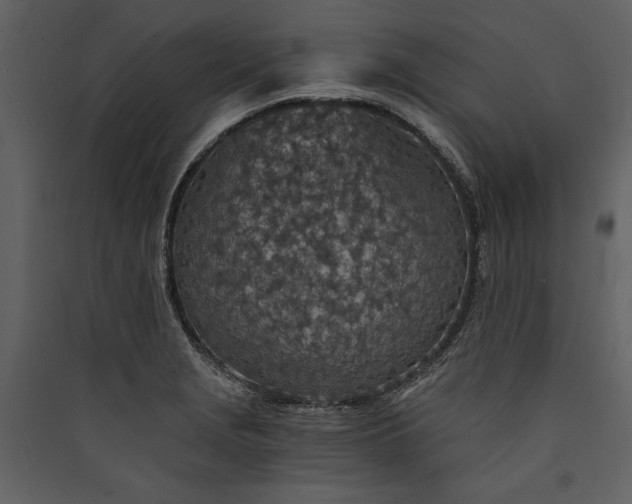 X0000089921229200707131403