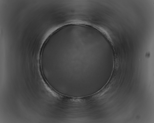 X0000089921231200707131403