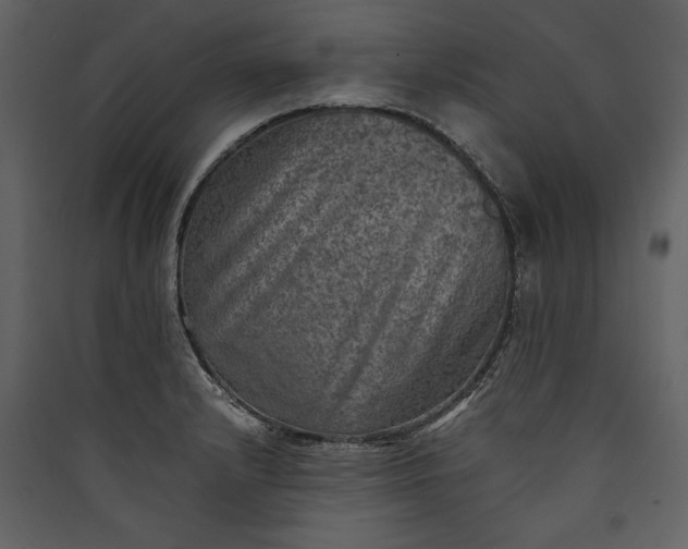 X0000089921232200707131403