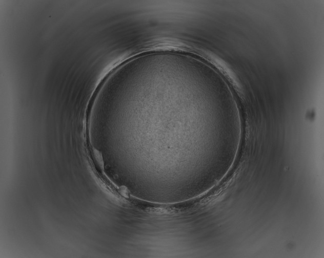 X0000089921234200707131403