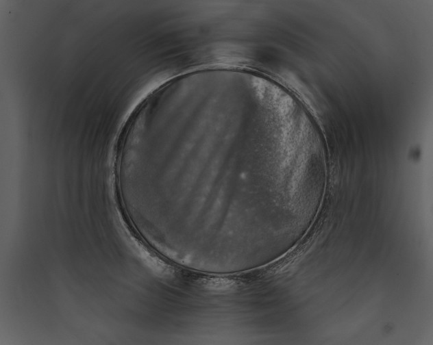 X0000089921235200707131403