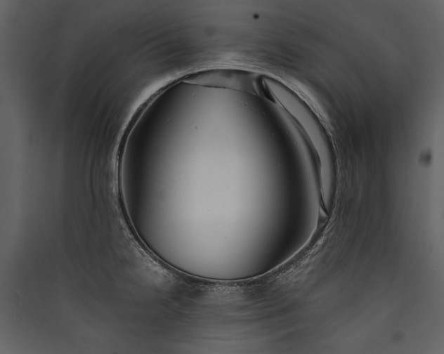X0000089921238200707131403