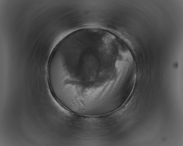 X0000089921239200707131403
