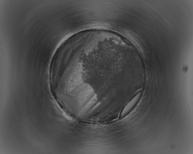 X0000089921240200707131403