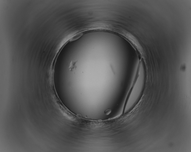 X0000089921242200707131403