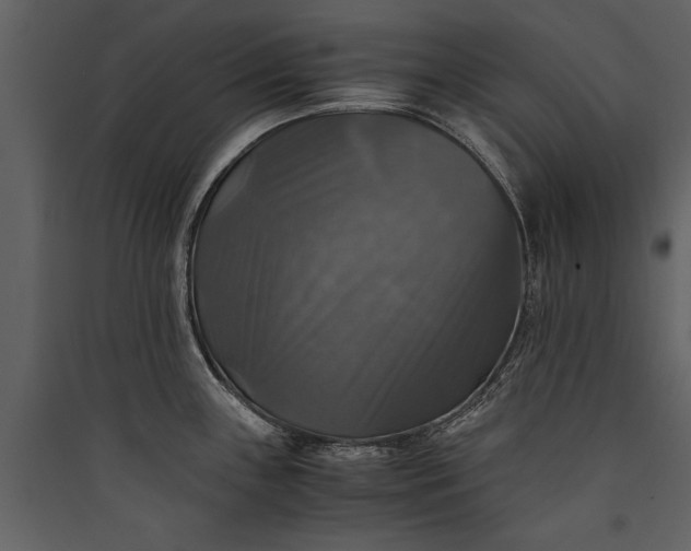 X0000089921243200707131403