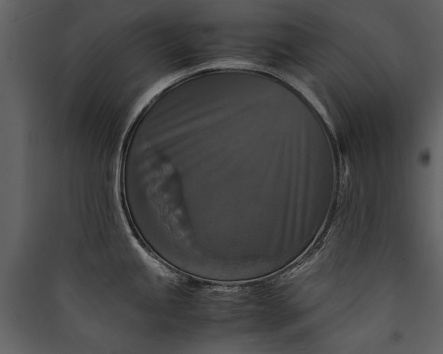 X0000089921245200707131403