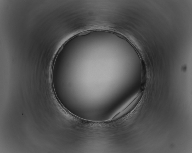 X0000089921246200707131403