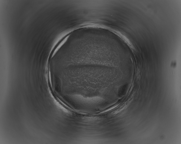 X0000089921247200707131403