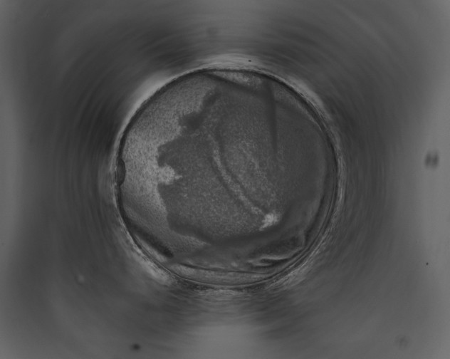 X0000089921248200707131403