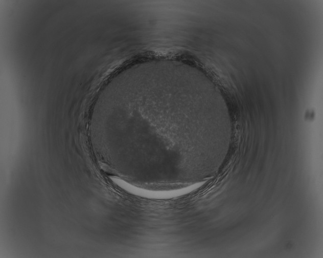 X0000089921249200707131403