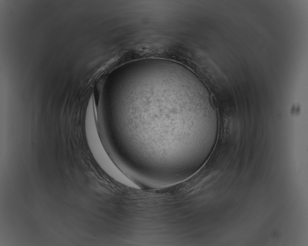 X0000089921250200707131403