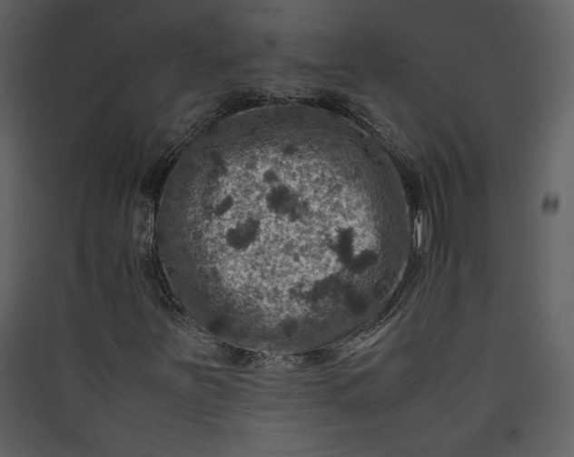 X0000089921251200707131403