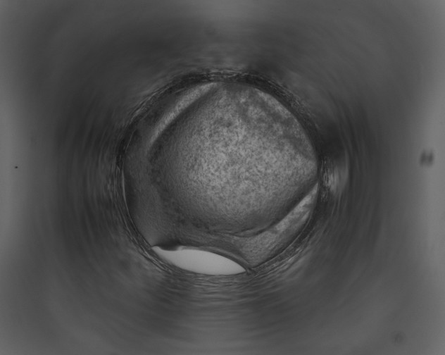 X0000089921252200707131403
