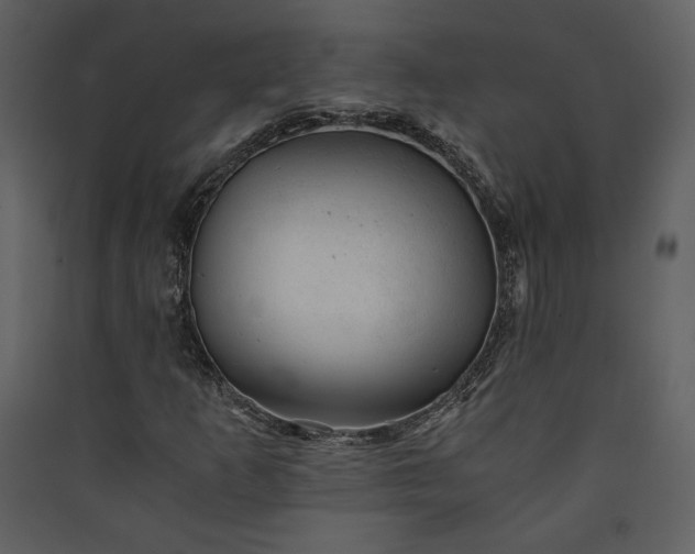 X0000089921253200707131403