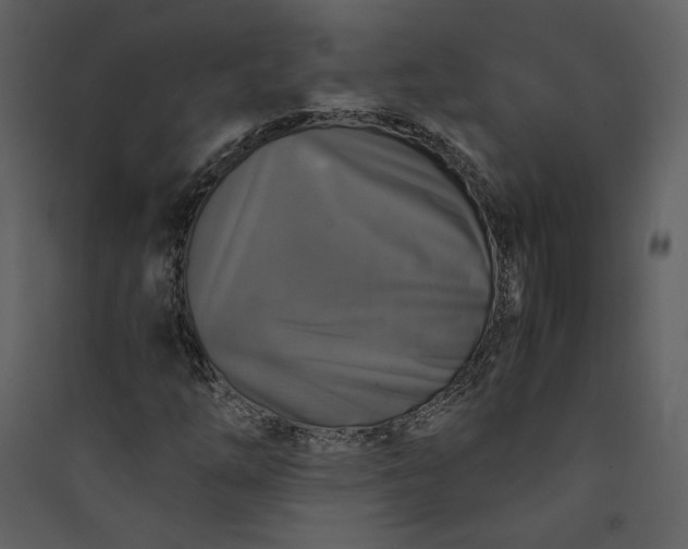 X0000089921254200707131403