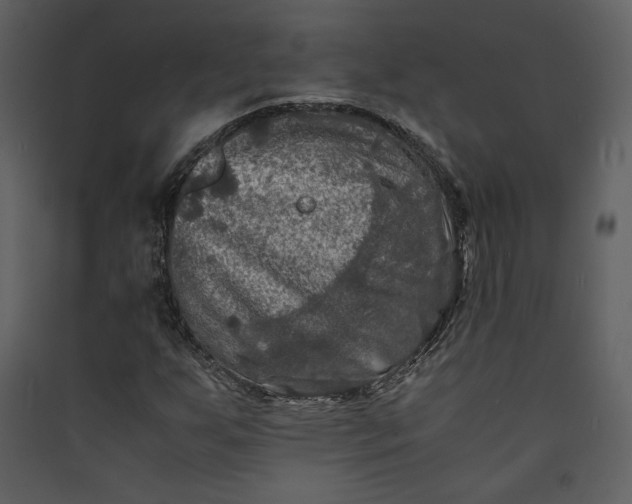 X0000089921255200707131403