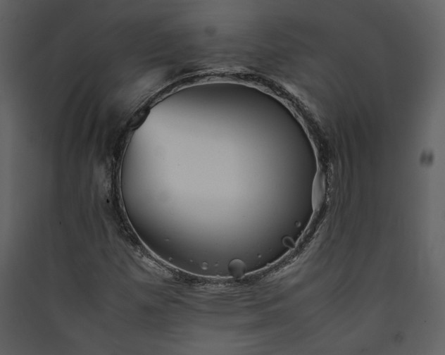 X0000089921257200707131403