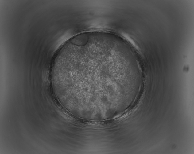 X0000089921259200707131403