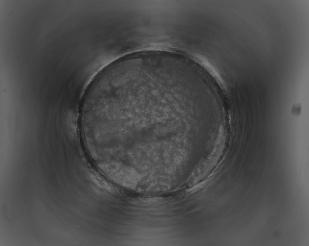 X0000089921260200707131403