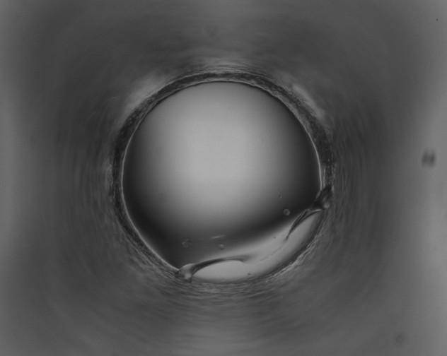 X0000089921261200707131403