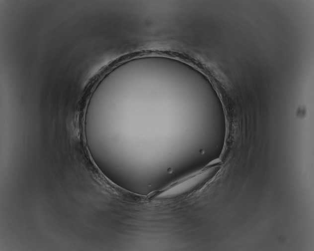 X0000089921262200707131403