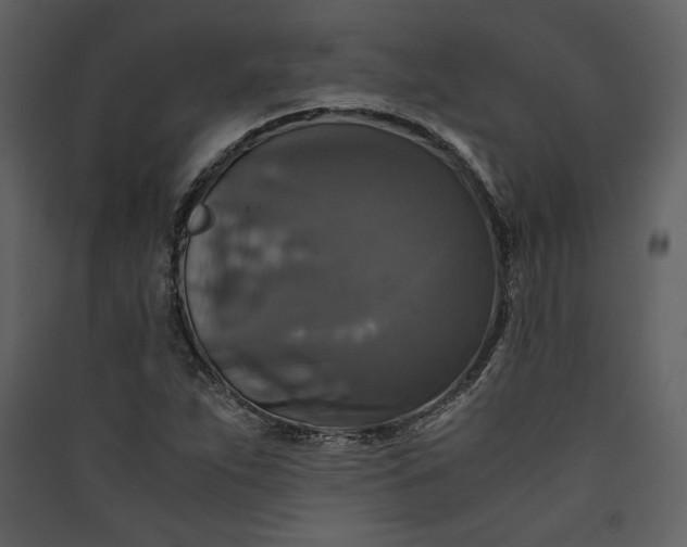 X0000089921263200707131403