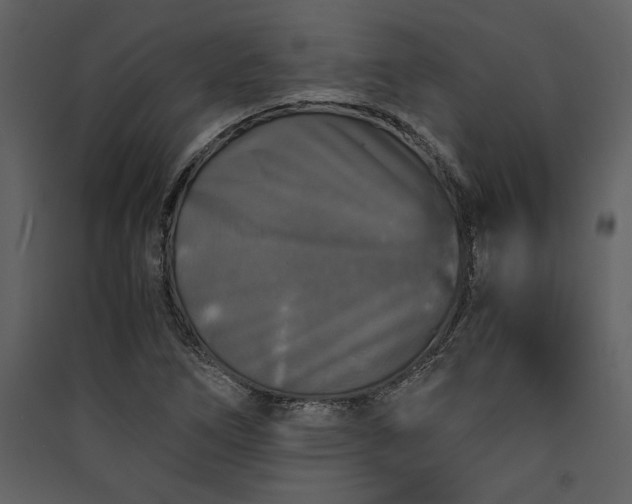 X0000089921266200707131403