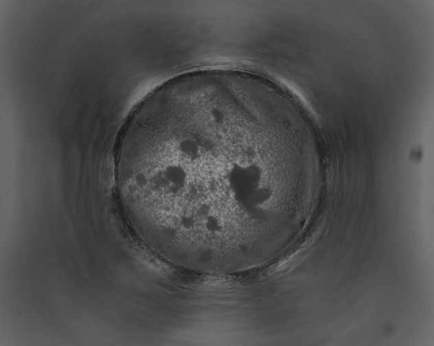 X0000089921267200707131403