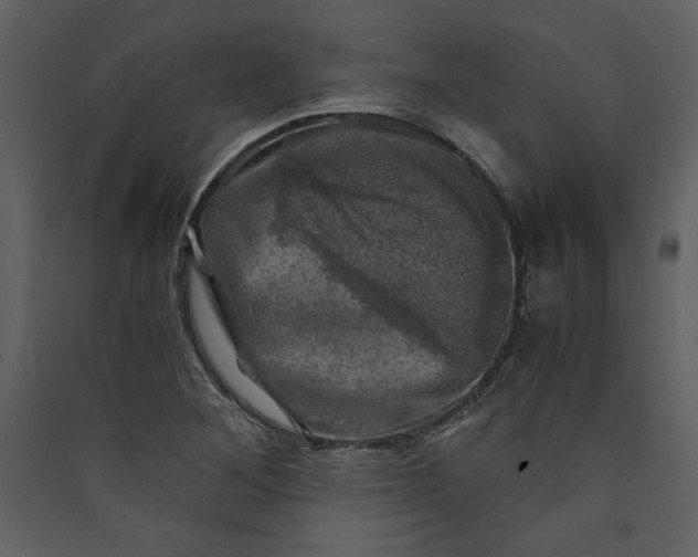 X0000089921268200707131403