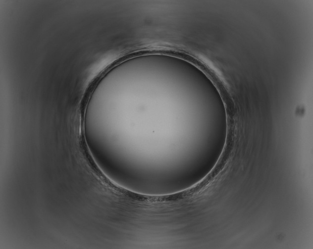 X0000089921269200707131403