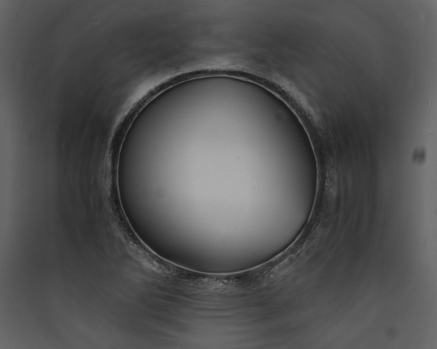 X0000089921270200707131403