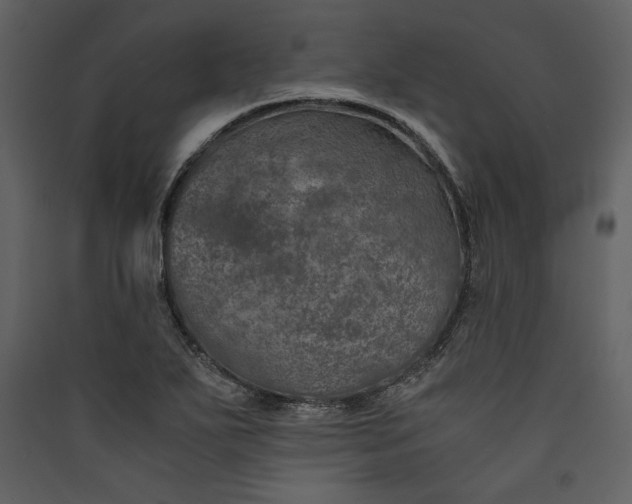 X0000089921271200707131403