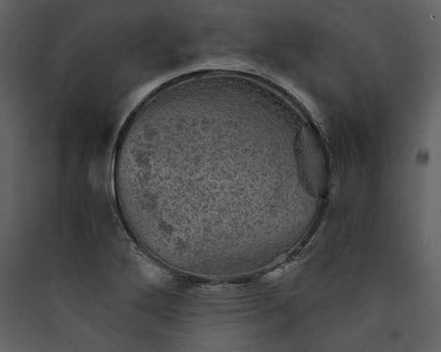 X0000089921272200707131403