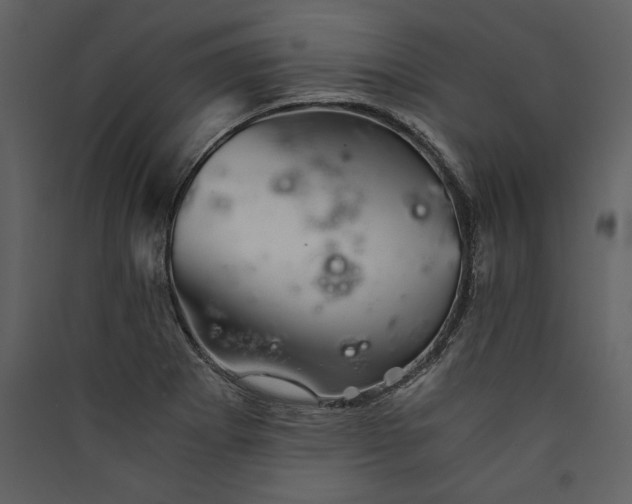 X0000089921273200707131403