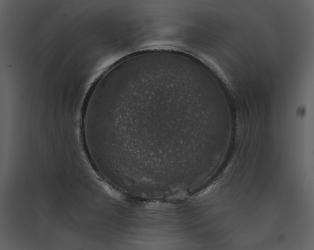 X0000089921277200707131402