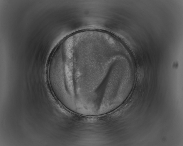 X0000089921278200707131402