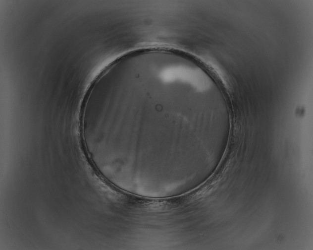X0000089921279200707131402